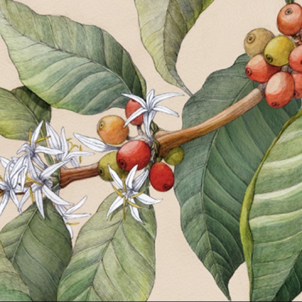 Meet your Posher, A.